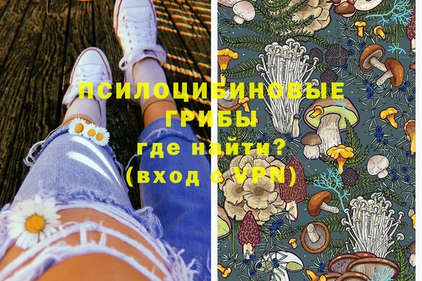 прущий лед Няндома