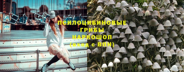ешки Нягань