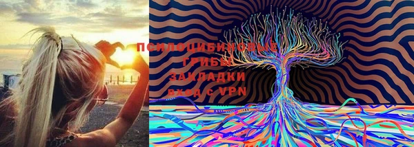 мдпв Новокубанск