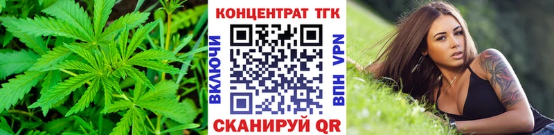 закладки  Губкинский  ТГК THC oil 