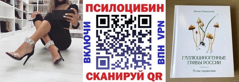 что такое   OMG ССЫЛКА  Псилоцибиновые грибы прущие грибы  Губкинский 