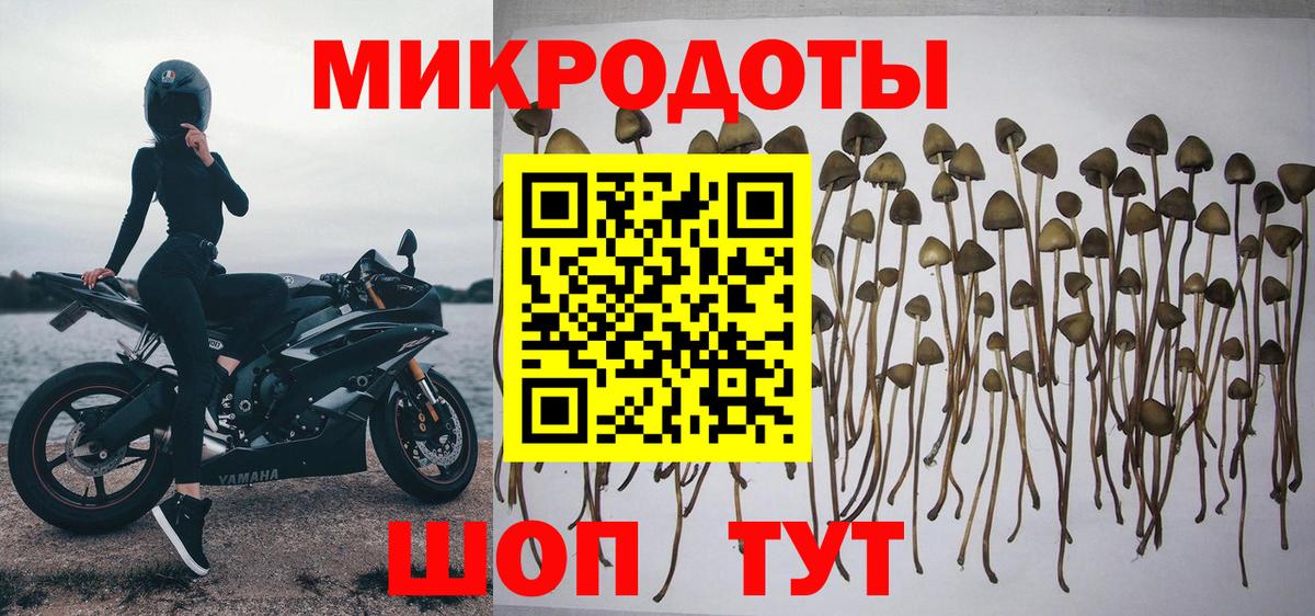 Губкинский  Галлюциногенные грибы GOLDEN TEACHER  Вход с VPN 