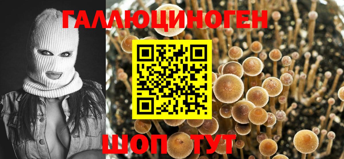 Галлюциногенные грибы ЛСД  сколько стоит  Губкинский 