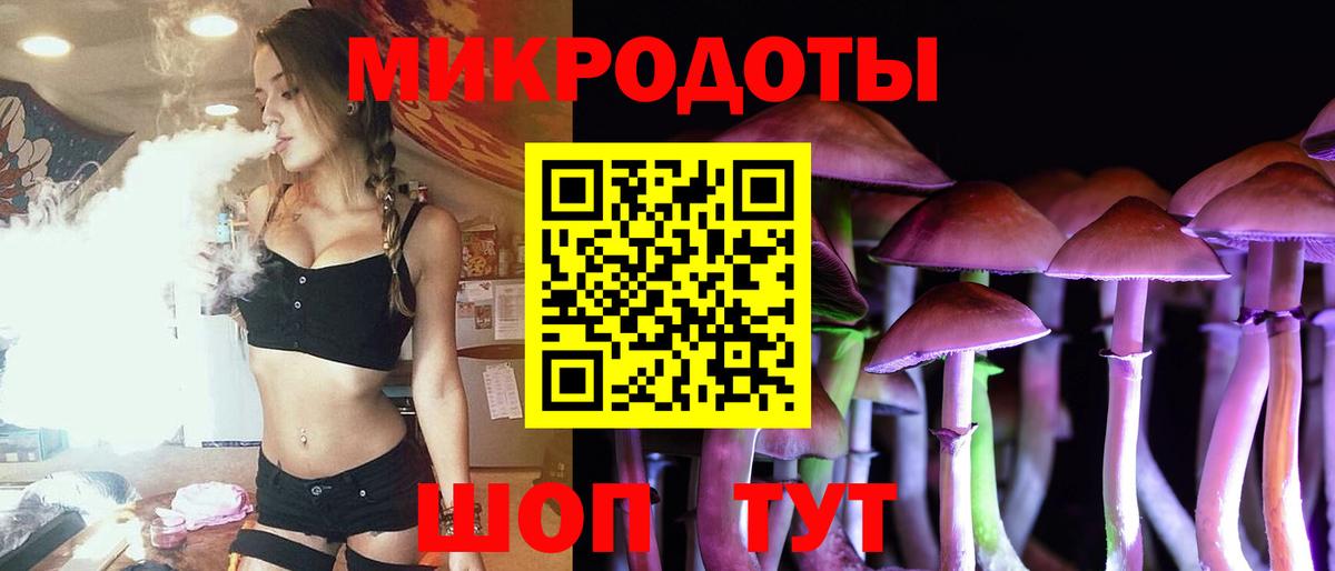 Псилоцибиновые грибы ЛСД Губкинский