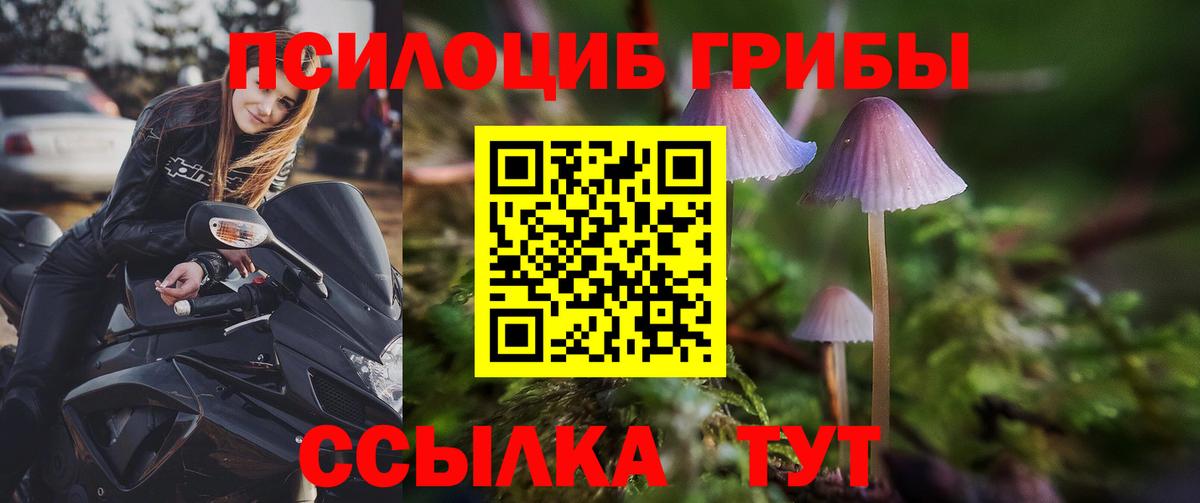 Мед  Вход с VPN  МАРИХУАНА  Cocaine  Меф  Губкинский  ГАШ 
